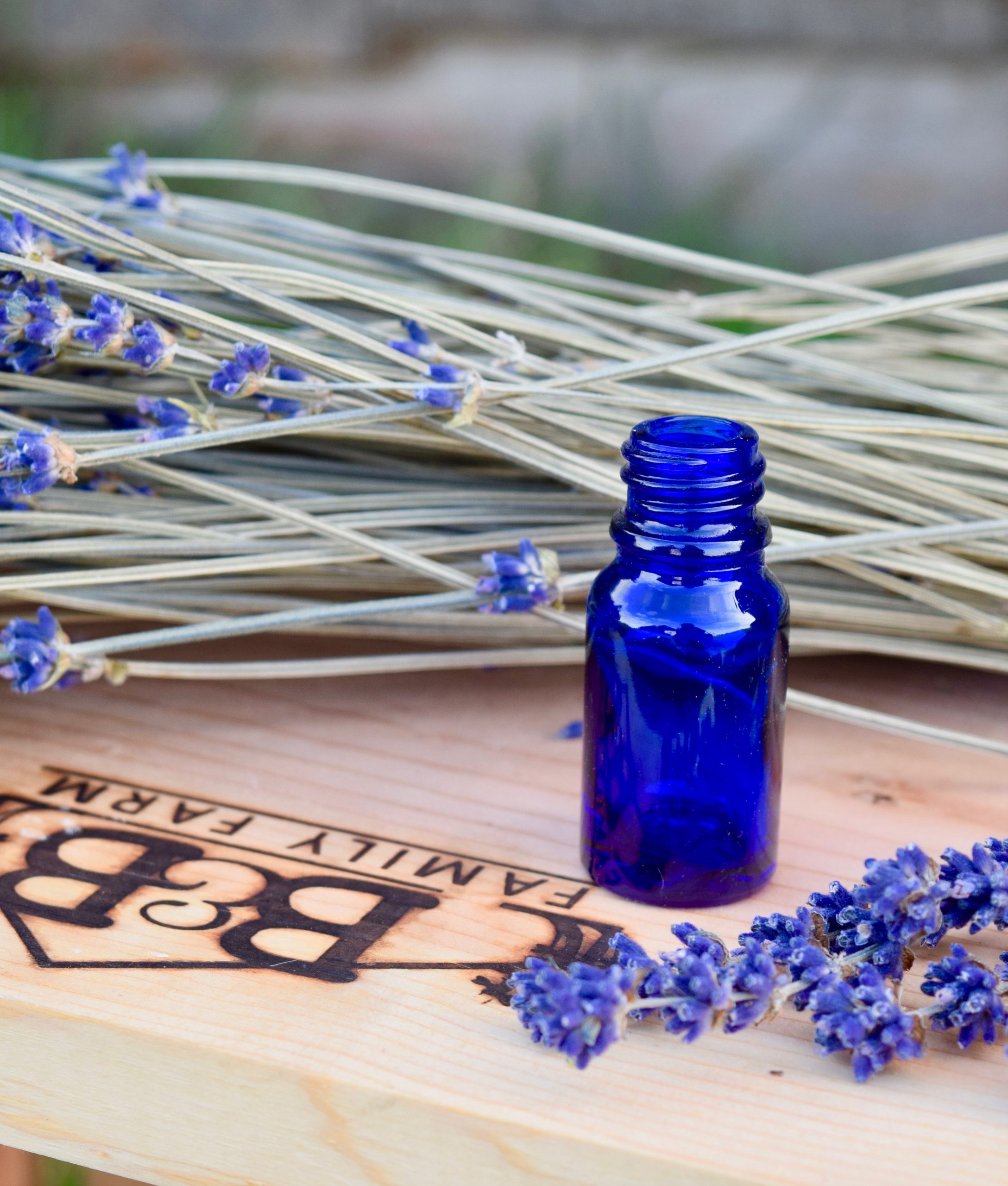 1 Bottle Of Lavender Essential Oil: Perfect For Aromatherapy - Temu