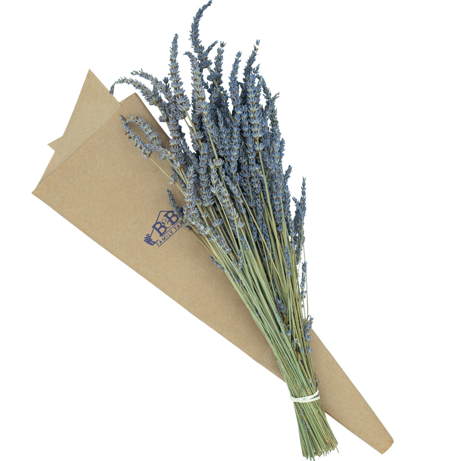 How to Dry Lavender? B&B Family Lavender Farm