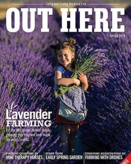 Lavender Essential Oil – Juntos Farm