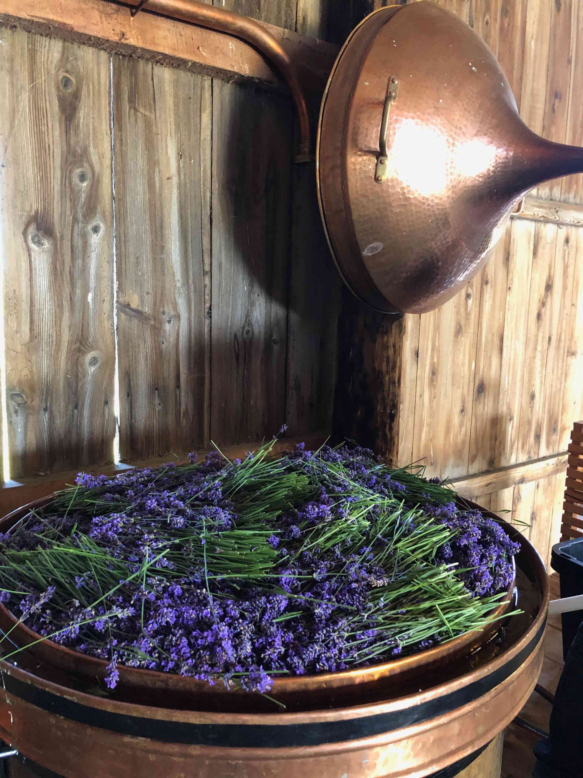 Full of Lavender Copper Alembic Still