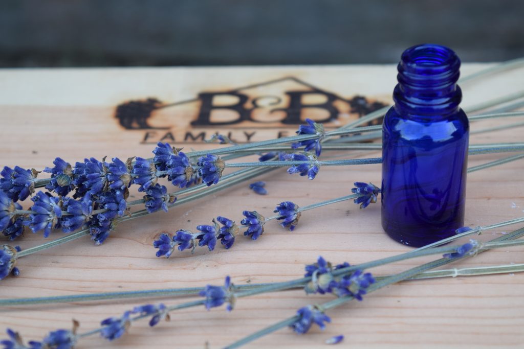 Essential oil bottle exampe at B&B Family Lavender Farm in Sequim, Washington