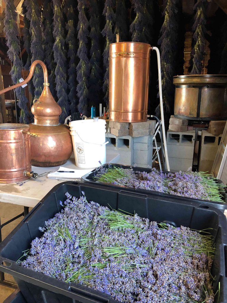 Loading the Copper Alembic Still