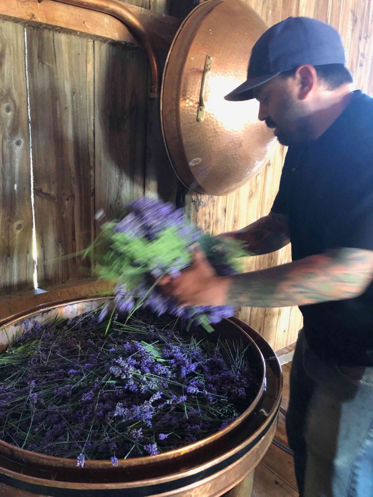 Farmer Zion of B&B Family lavender farm packing his copper alembic still in Sequim, Wahington