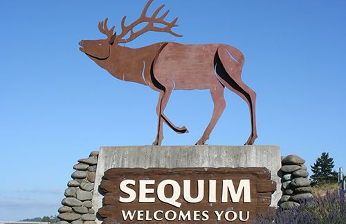 15 Best Things to Do in Sequim, Washington