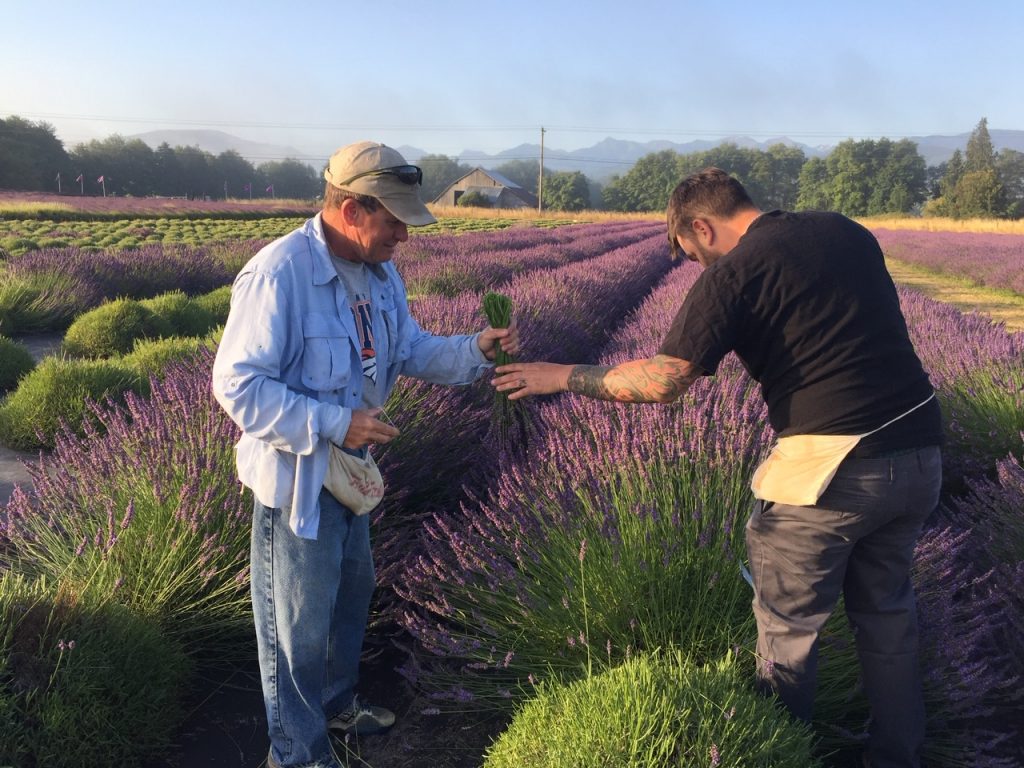 Zion and Mark Harvesting Lavender