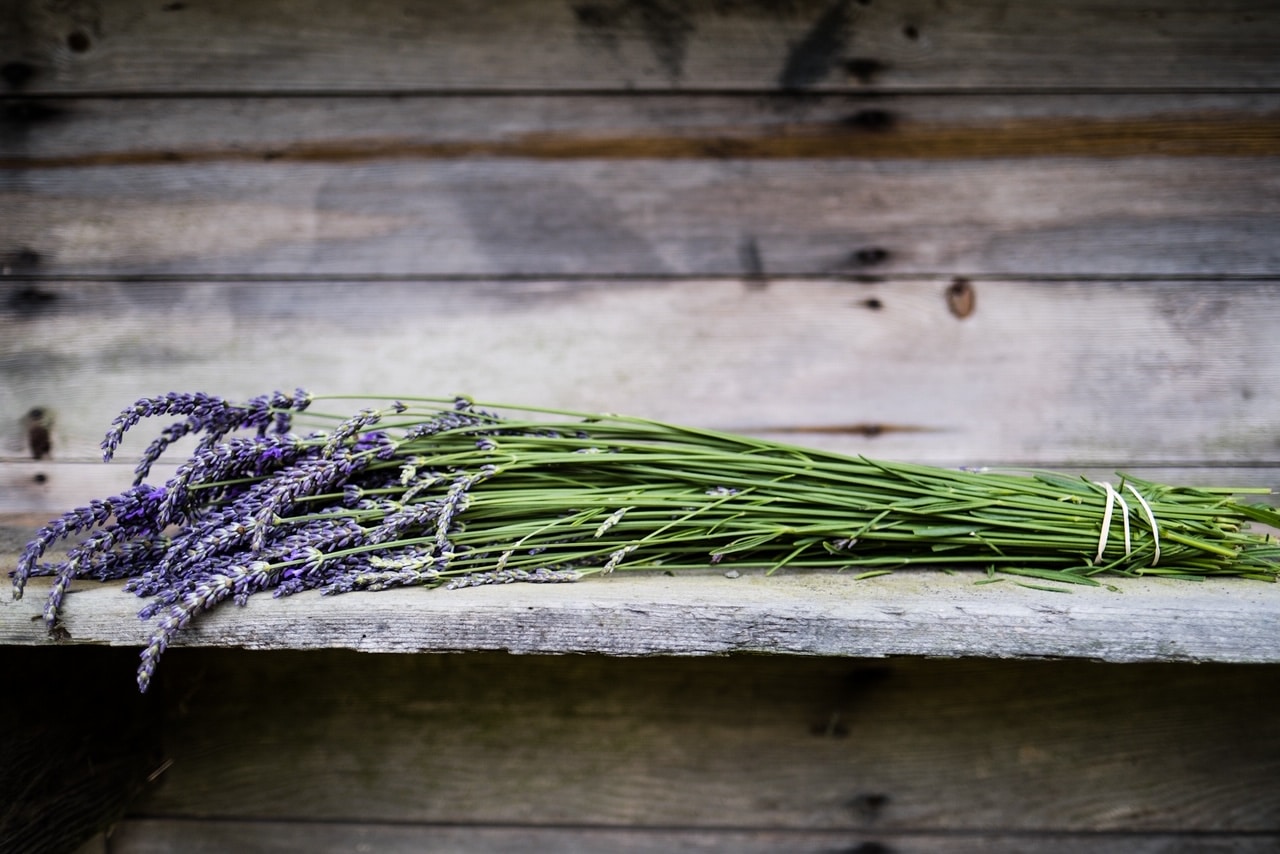 Dried Lavender bundle - Buy lavender direct from the farm!