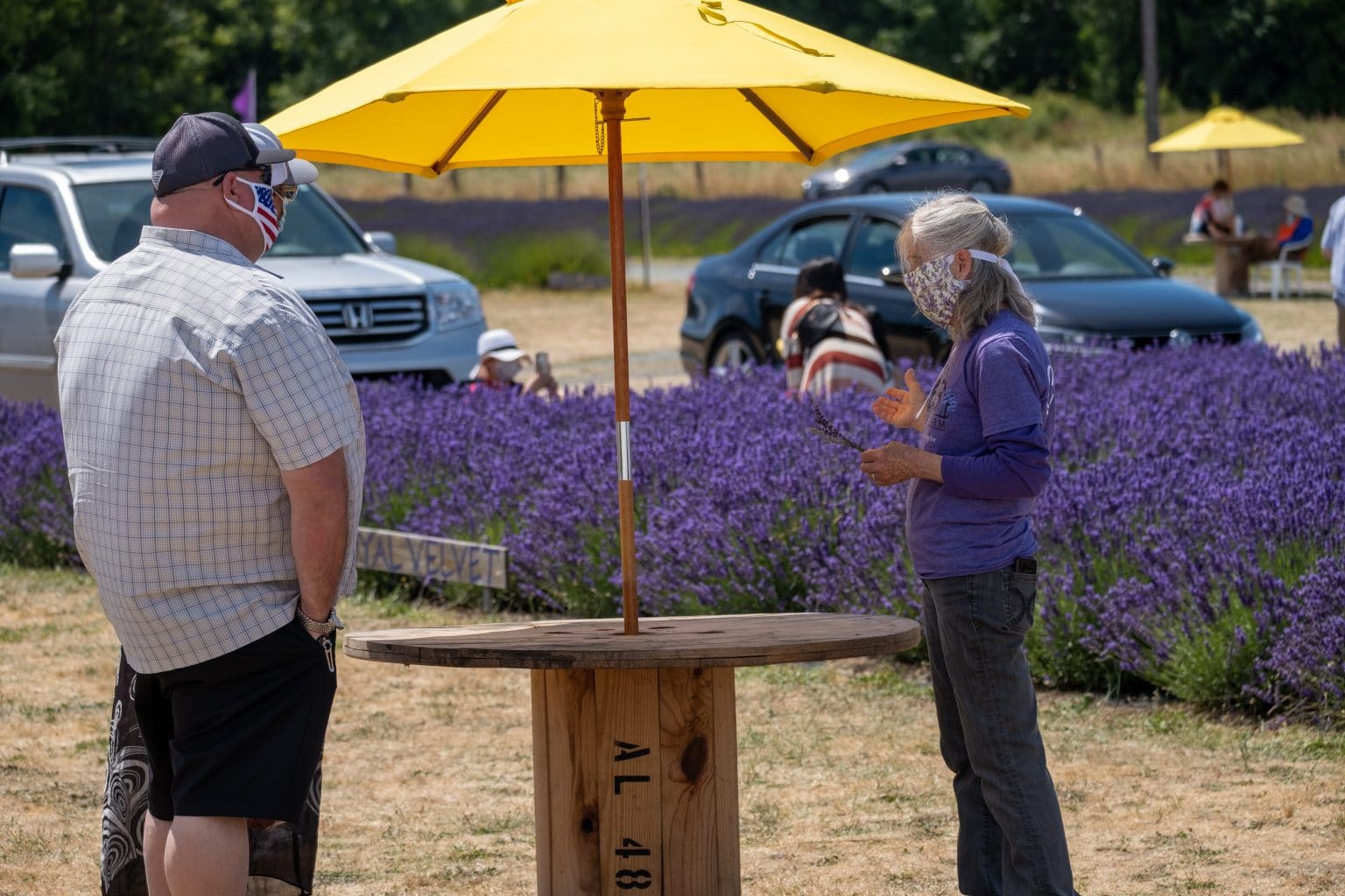 Sequim Lavender Festival 2021 B&B Family Lavender Farm Sequim