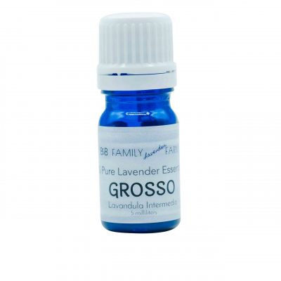 Lavender Essential Oil - Grosso