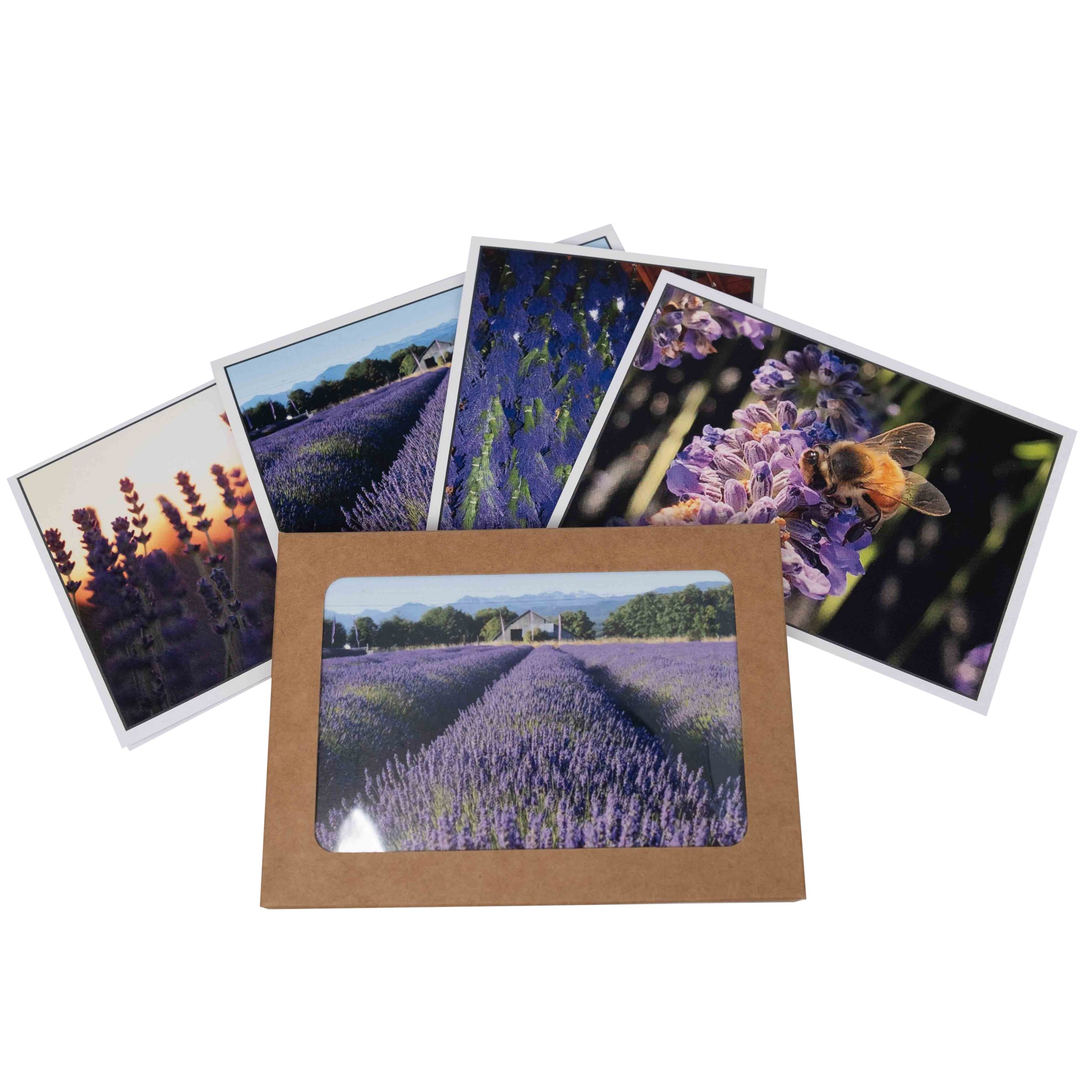 Lavender Notecards