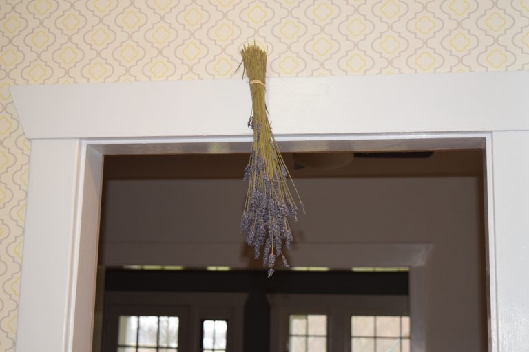 How to Dry Lavender? B&B Family Lavender Farm