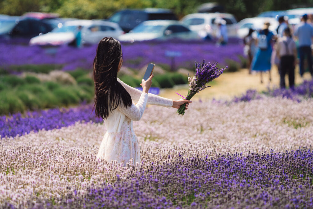 15 Best Things to Do in Sequim Washington (Local Guide 2026)
