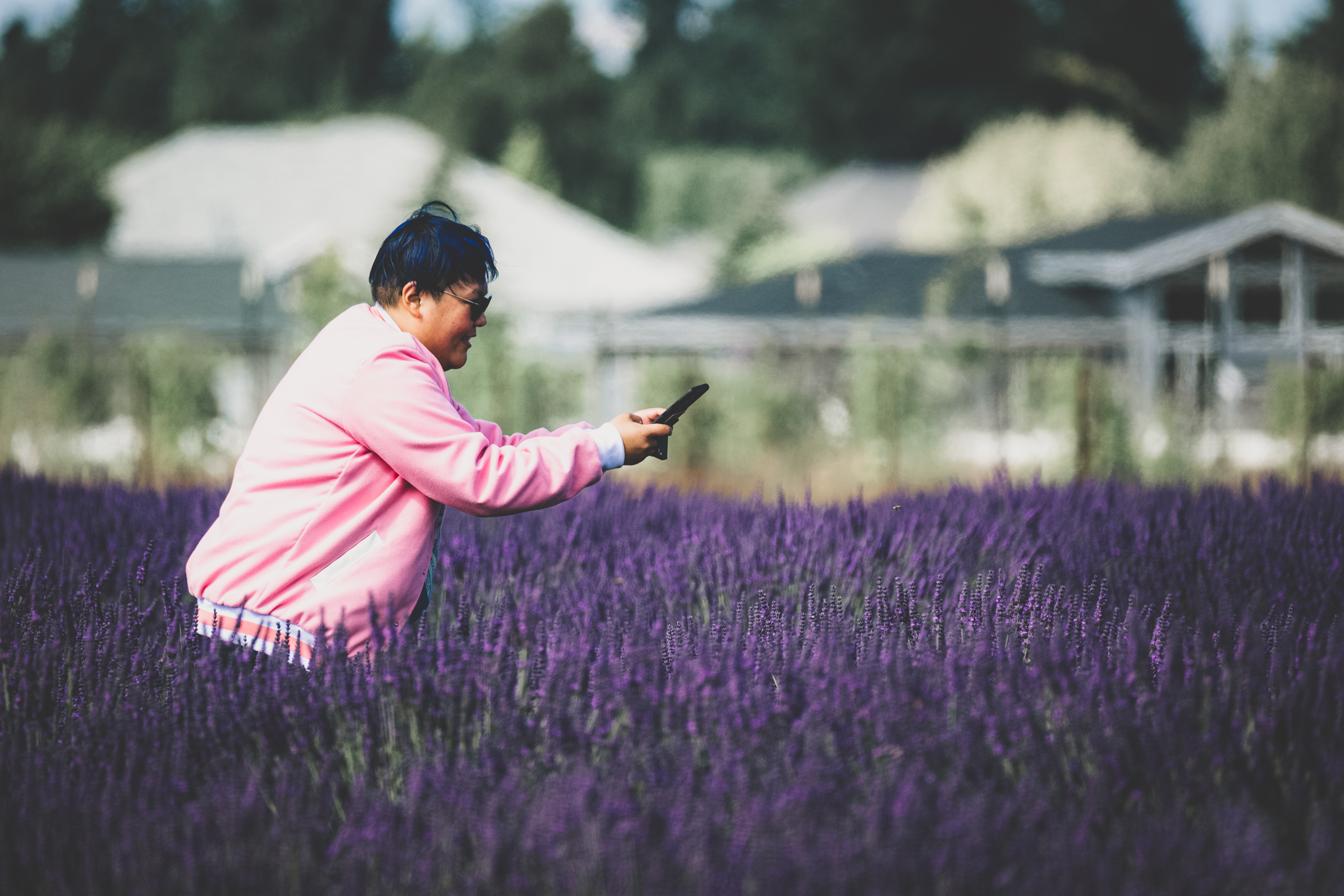 Lavender Visitor