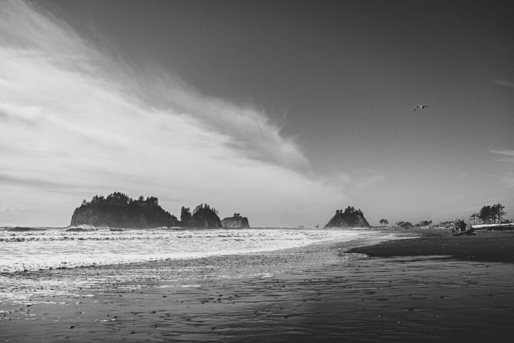 Olympic National Park