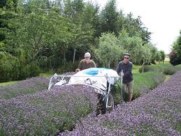 Harvesting Mechanical