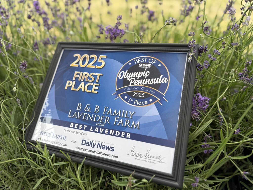 B&B Family Lavender Farm award for Best Lavender Olympic Peninsula 2025 first place